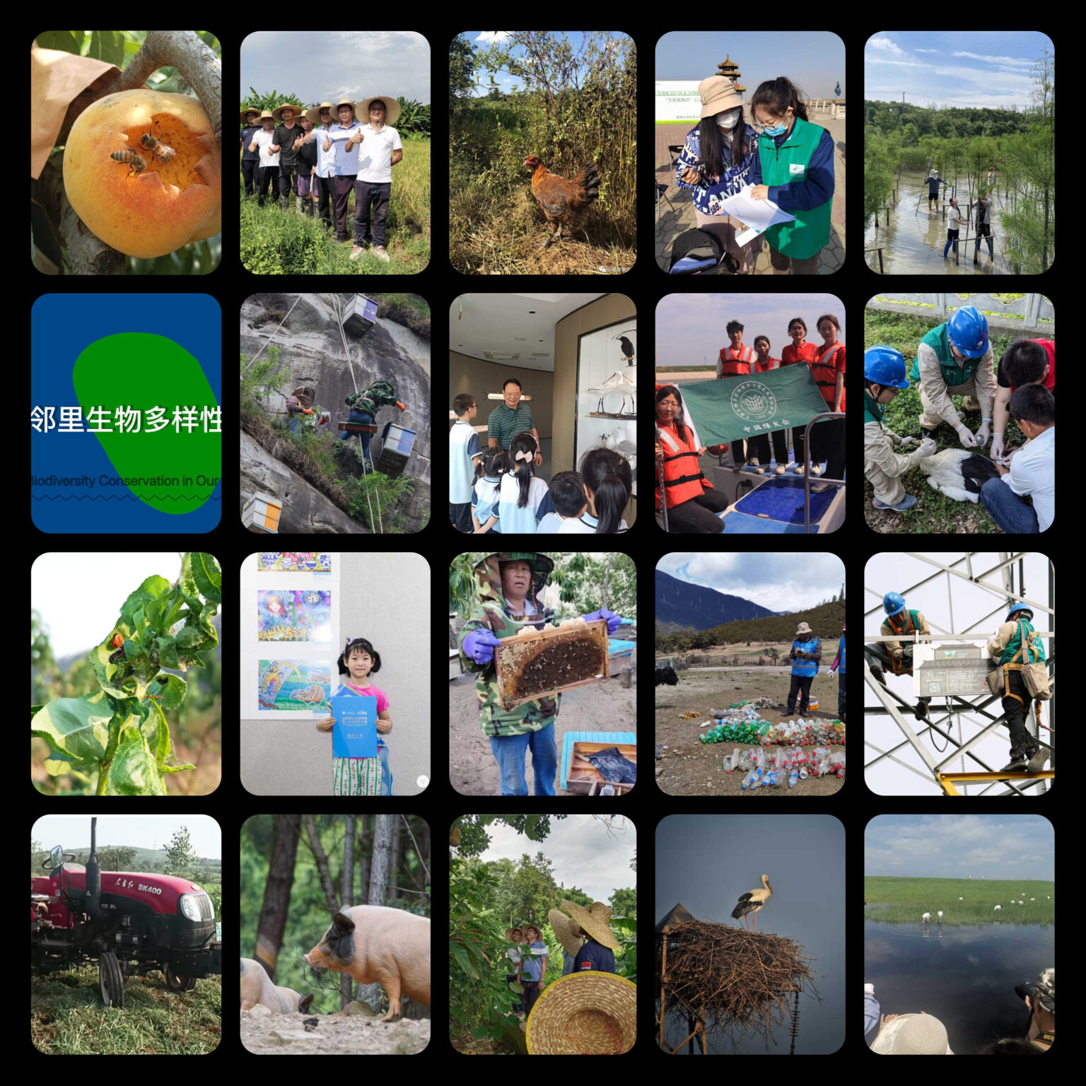 Biodiversity Conservation in Our Neighborhood - Paris Peace Forum